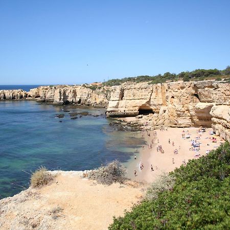 Pine Tree Apartments - Praia Da Coelha - البوفيرا المظهر الخارجي الصورة
