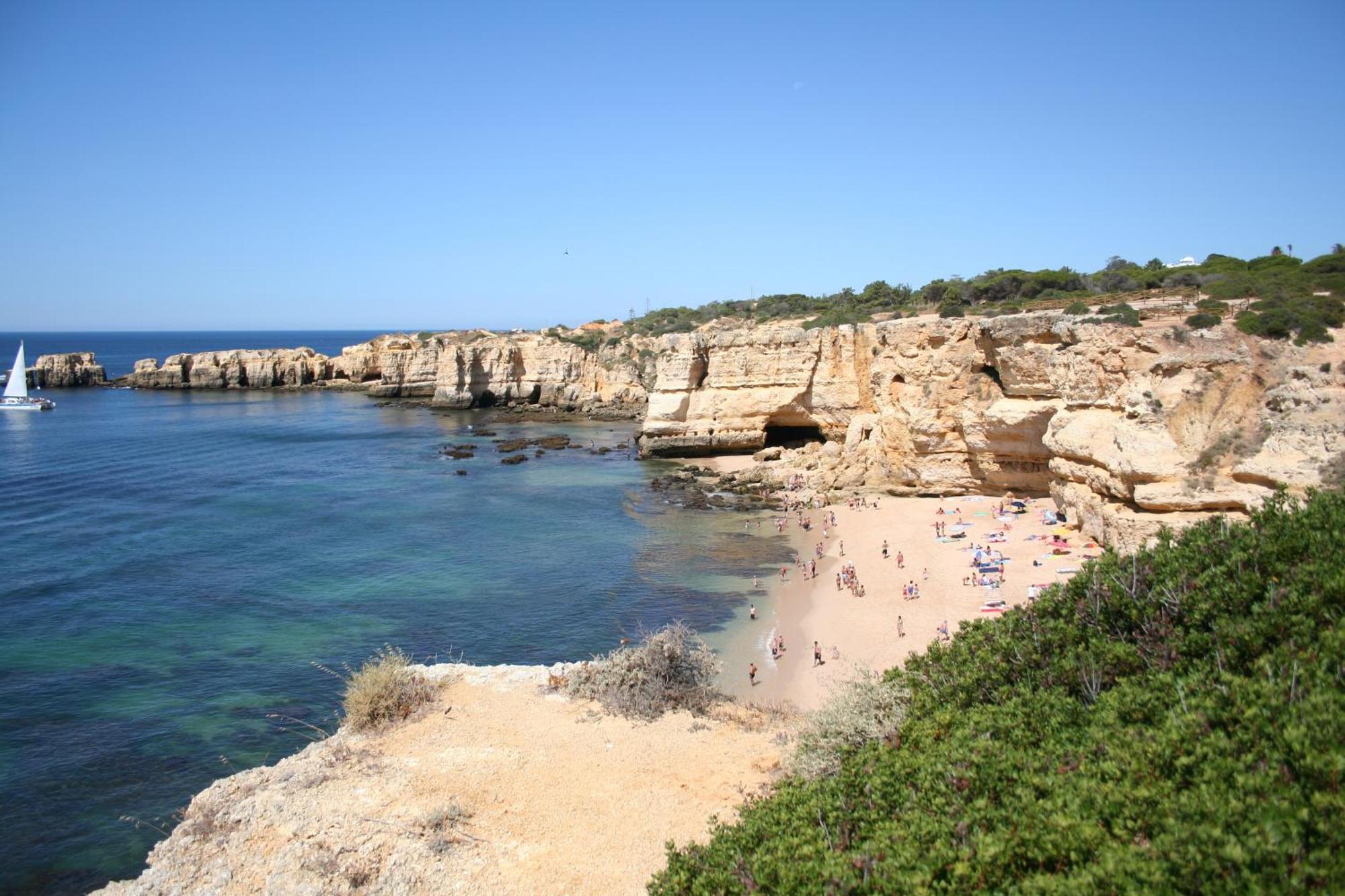 Pine Tree Apartments - Praia Da Coelha - البوفيرا المظهر الخارجي الصورة